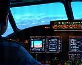 Flight simulation with pilot console